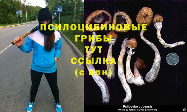 альфа пвп Пестово